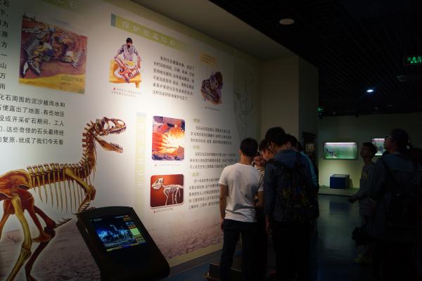 公司新闻1601班组织团员参观南京地质博物馆