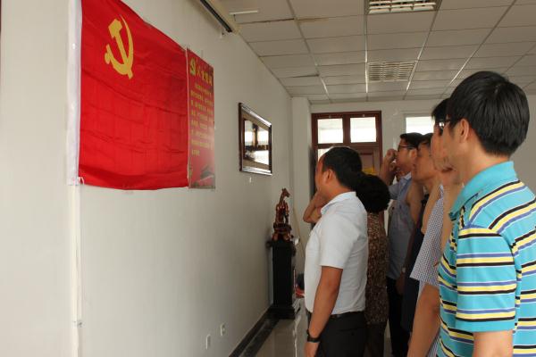 必一运动举行庆祝建党95周年教工党员宣誓活动暨“两学一做”专题党课